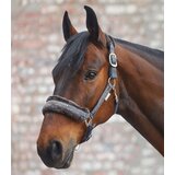 Waldhausen Oglavka Elegant, asfaltno siva - Cob | Shoptok.si