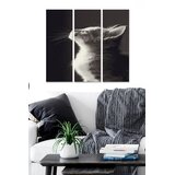 Wallity Set slika MDF3210439, 3 dijela | Eponuda.ba