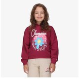 Champion Hooded sweatshirt | ePonuda.com