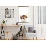  Poster - Funny Kitten 40x60 | shoptok.hr