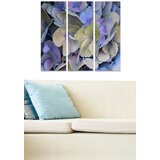 Wallity Set slika MDF759343, 3 dijela | Eponuda.ba