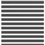 vidaXL idaXL Zebra senčilo črna 150x150 cm tkanina širina 145,9 cm poliester | Shoptok.si
