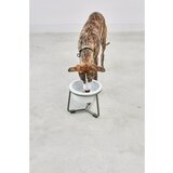MiaCara Porculanska posuda s postoljem za pse ø 20 cm Pranzo Grolive M – | shoptok.hr