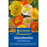 KIEPENKERL Islandski mah "Pastelna mešanica" - 1 pkt. | Shoptok.si