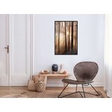  Poster - Morning in the Forest 40x60 | shoptok.hr