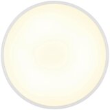 Globo STROPNA LED-SVETILKA NIELSEN //4000 K/230 V/ | Shoptok.si