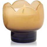 Paddywax Tulip Garden & Grove dišeča sveča 155 g Cene