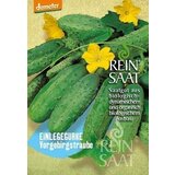 ReinSaat Kisle kumare "Vorgebirgstraube" Cene