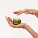 Origins Plantscription™ Triple Action Youth Cream hidratantna krema protiv starenja 50 ml | shoptok.hr
