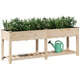 vidaXL Vrtni lončnik s policami 203x53x76 cm Iz trdega lesa jelke, (22010926) | Shoptok.si