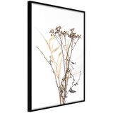  Poster - Diary of a Herbalist 30x45 | shoptok.hr