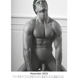 OV-Grosshandel Erotični stenski koledar Cocks 2023 (R180700) | Shoptok.si