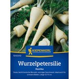 KIEPENKERL Koren peteršilja "Konika" - 1 pkt. | Shoptok.si