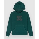 DC Star Kids Pulover s kapuco ponderosa pine Cene