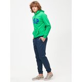GAP Men's blue pants Slim | Shoptok.si