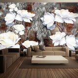  Tapeta - Shy gestures 100x70 Cijene