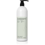FarmaVita Backbar Revitalizing vlažilni in revitalizacijski šampon 1000 ml | Shoptok.si