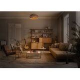 Ledvance plafonsko svetlo decor cardboard 1xE27/15W/230V prečnik 40 cm | Eponuda.com