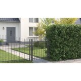 vidaXL Vrtna vrata s ključavnico Siva 100 x 125 cm 125 x 100 cm Jeklo | Shoptok.si