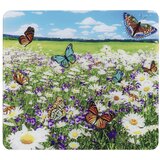 Maximex Zidne zaštitne ploče za štednjak u setu 2 kom 50x56 cm – | shoptok.hr