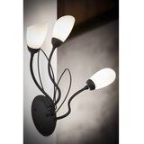 Jupiter 2059 - zidna lampa gloriosa 3xG9/14W/230V crna | Eponuda.com