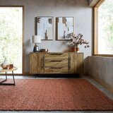 Flair Rugs Ročno tkana preproga v barvi terakote 120x170 cm Finley – | Shoptok.si