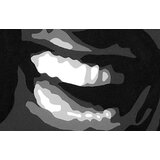  Ručno slikane slike na platnu na platnu POP Art Ray Charles 3-dijelna () | shoptok.hr