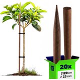 KADAX leseni koli, impregnirani koli, 120 cm, podporne palice, 20 kosov, premer 23 mm, (5000362445) | Shoptok.si