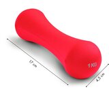 ModernHome bučice za vježbanje A2 2x1kg roze | shoptok.hr