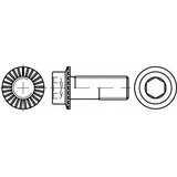 Toolcraft TO-5444451 vijak s šesterokutnom glavom M12 50 mm unutarnji šesterostrani 88912 100 St. | shoptok.hr