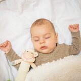 BabyOno Piskač ljubko jagnje, roza | Shoptok.si