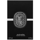 Diptyque Vetyverio parfumirana voda unisex 75 ml | Shoptok.si