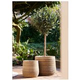House Nordic Košare u setu 2 kom od ratana ø 39x35 cm Moro – | shoptok.hr