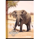 STREET Zvezek Africa A4 črte | Shoptok.si