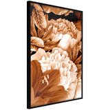  Poster - Peonies in Sepia 30x45 Cijene