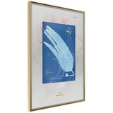 Poster - Alga Cyanotype 30x45 | shoptok.hr
