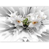  Foto tapeta - Floral Explosion 400x280 | shoptok.hr