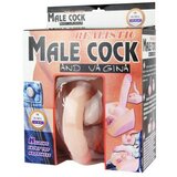  Lifelike Realistic Male Cock and Vagina DEBRA01444 Cene