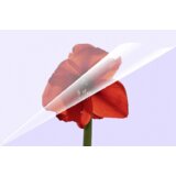 Olympia 1x100 Laminating pouches DIN A4 80 micron 9166 | shoptok.hr