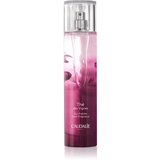 Caudalie Thé Des Vignes toaletna voda za žene 100 ml Cijene
