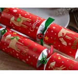 Robin Reed Božične pokalice v kompletu 6 ks Rudolph & Friends – | Shoptok.si