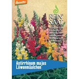 ReinSaat Odolin Cene