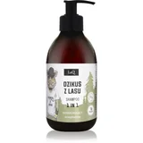 Boar From Forest šampon za učvršćivanje 300 ml