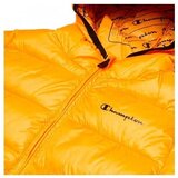 Champion Legacy žuta | shoptok.hr