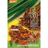 ReinSaat Užitna ostrica Cene