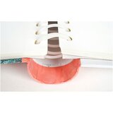  Foto album Palpation 2, 60 slik | Shoptok.si