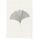 The Poster Club Plakat 50x70 cm Ginkgo Leaf – Ana Frois – Cene