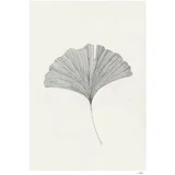 Plakat 50x70 cm Ginkgo Leaf – Ana Frois –