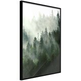  Poster - Steaming Forest 30x45 | shoptok.hr