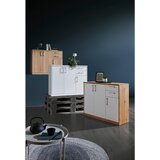 XORA komoda, hrast sonoma | Shoptok.si
